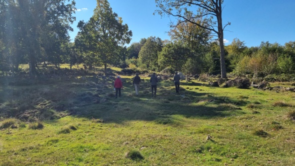 Grönskande skog en solig dag med fyra personer gåendes bort från kameran.