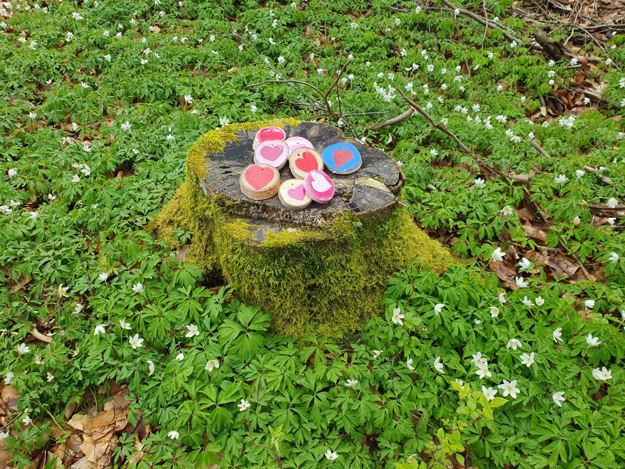 Målade hjärtan av trä som ligger på en stubbe.