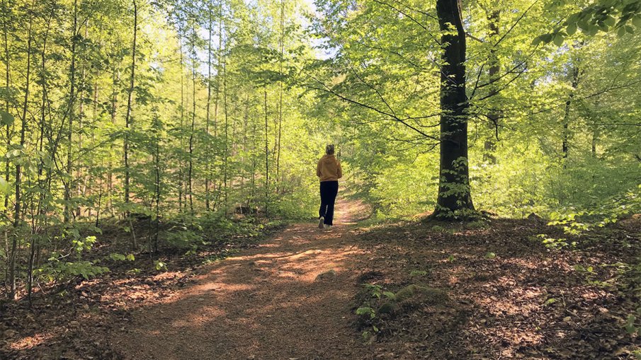 Person som promenerar på Fogdarödsslingan